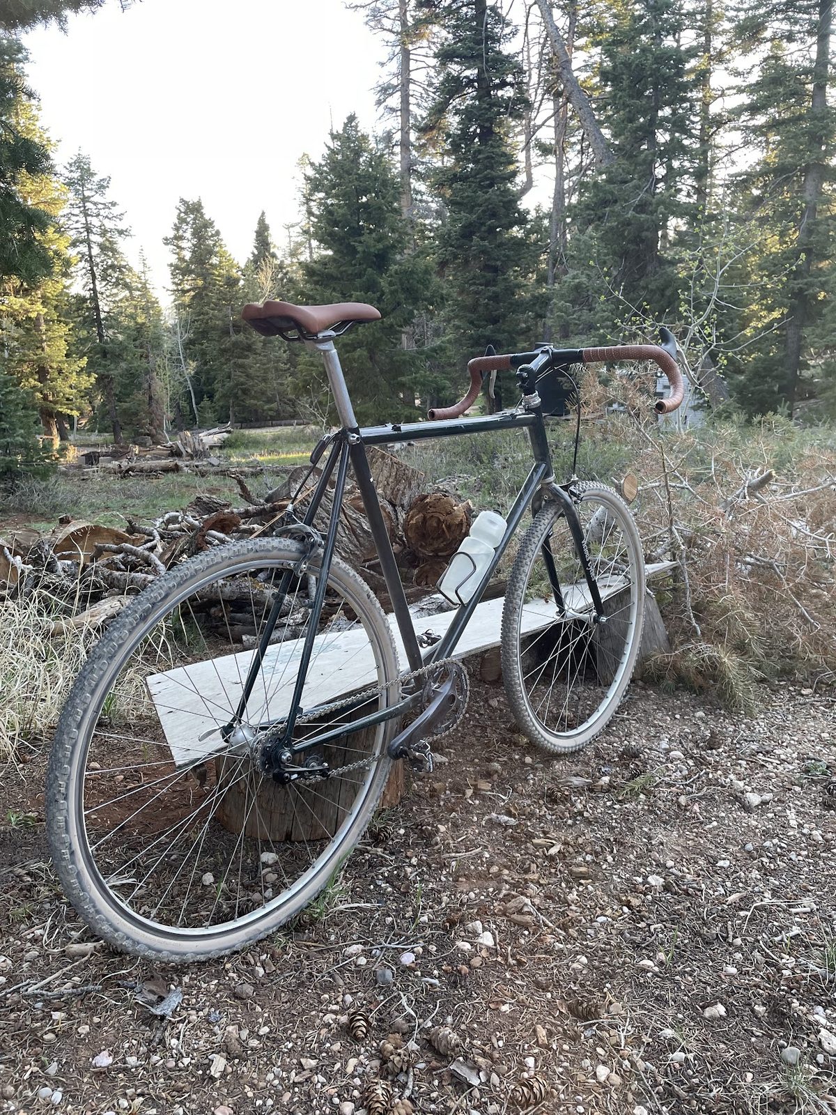 The bike parked among pine trees on a mountain trail